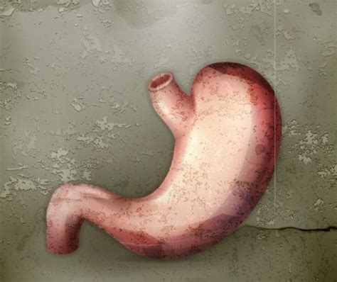 facts   stomach weightwise