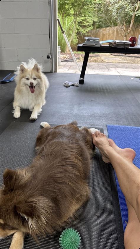 CJ Perry (Lana) : r/WrestlingAndMMAFeet