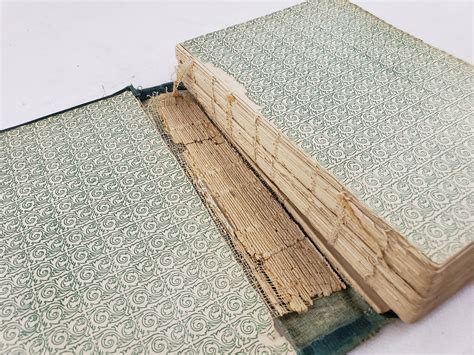 Thirty-One Years on the Plains and in the Mountains or, the Last Voice