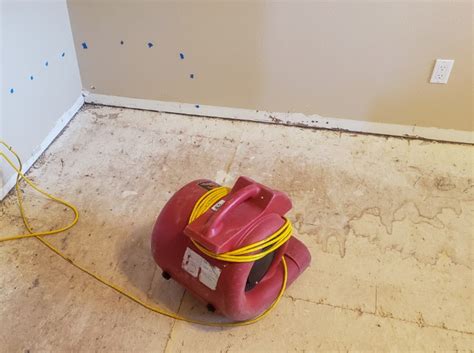 drying  water damage timeliness  importance green clean