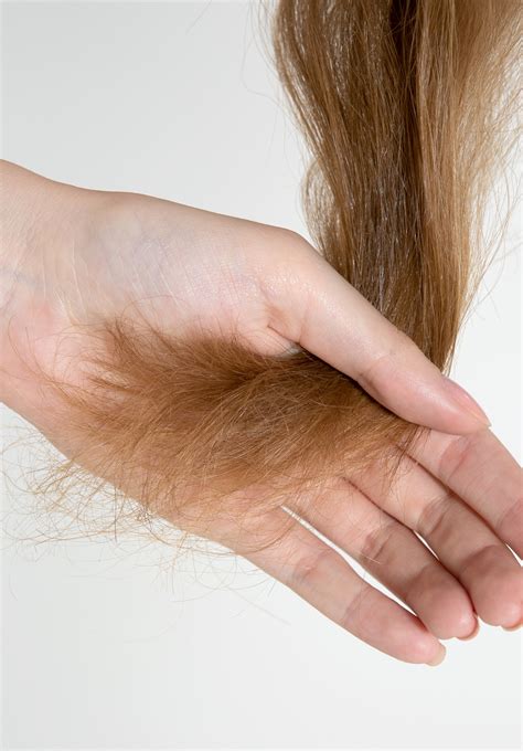 ¿REALMENTE ES BUENO LAVAR EL CABELLO A DIARIO?