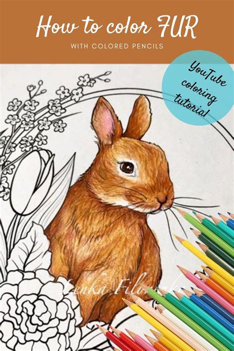 color fur colored pencil tutorial colored pencil lessons