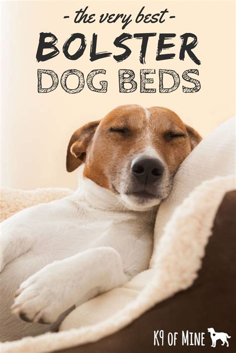 6 Best Dog Beds With Bolsters [2024 Reviews]: Beds With Borders! | Cool ...