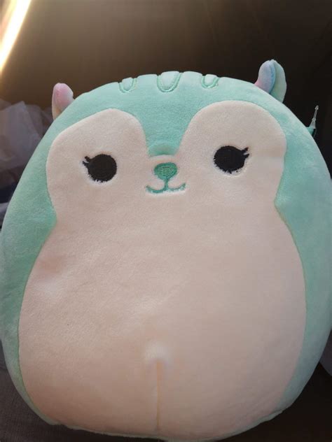 plushie squishmallow lovers amino