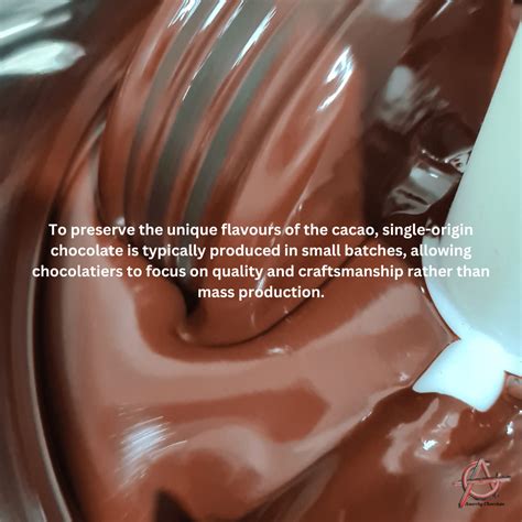 discover  rich world  single origin chocolate