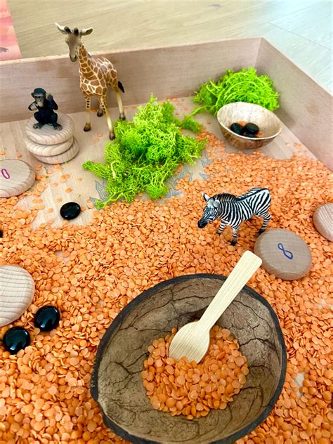 Sensorische stenen set sensory stones – Artofit