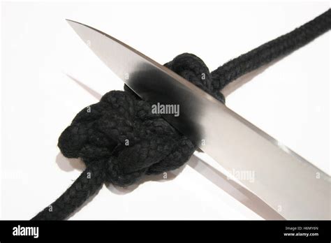 gordian knot stock photo alamy