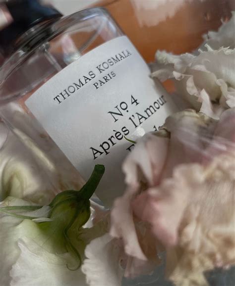 THOMAS KOSMALA №4 perfume | Духи, Ароматы, Инфографика