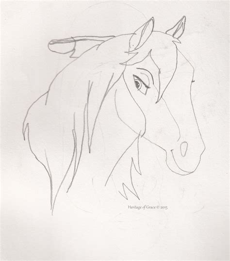 Morgan Horse Silhouette at GetDrawings | Free download