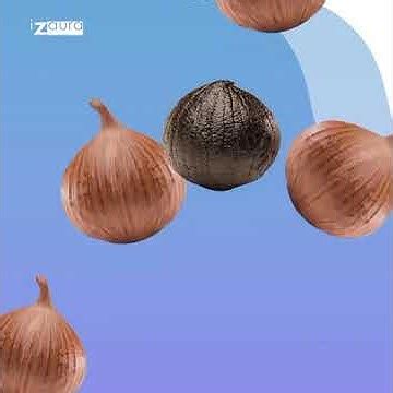 piral manfaat black garlic izaura youtube