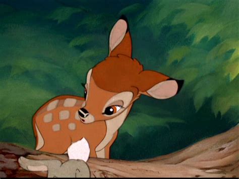 Bambi - Bambi Image (5770156) - Fanpop