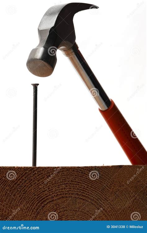 Nail stock photo. Image of isolated, carpenter, metal - 3041338