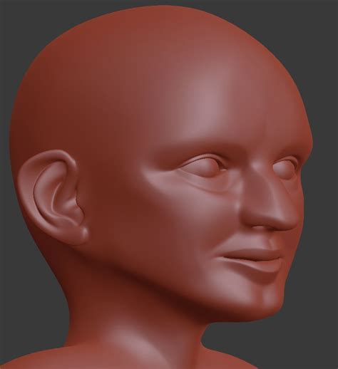 Базовая сетка для головы гнома 3D Модель $35 - .blend - Free3D