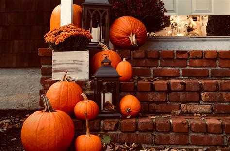 How to keep pumpkins looking fresh all season long