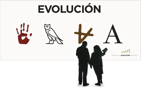 museum  human evolution estrada design