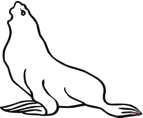 Seal Outlines | Free download on ClipArtMag