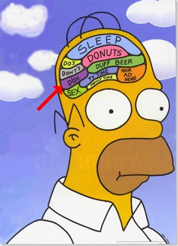 homer's brain | Homer simpson brain, Homer simpson, Simpsons funny