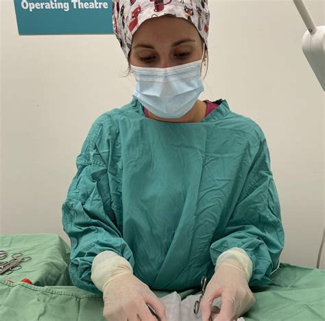 PDSA Veterinary Services and Animal Welfare Programs 34