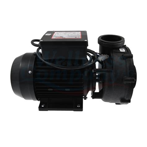 Waterway Euro Viper Massage-Pumpe 3 HP, 1-speed, 2.5'' Gewinde