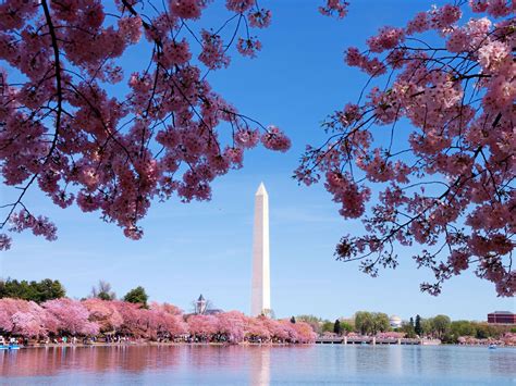 Washington DC Spring Wallpapers - Wallpaper Cave