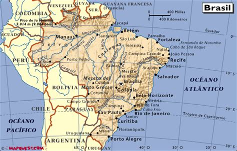 Brasil Clima E Vegetação - 8