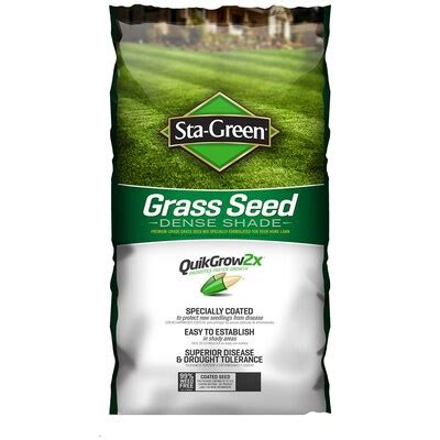 Grass & Grass Seed at Lowes.com