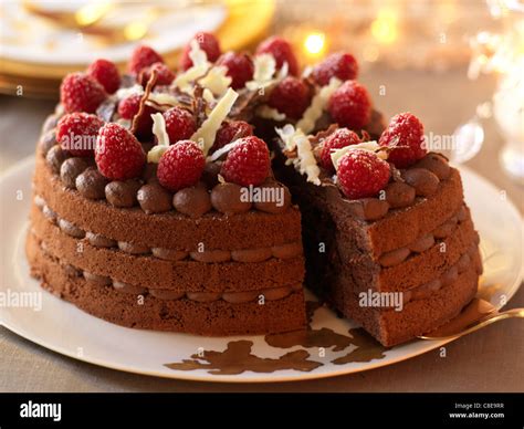 Chocolate Christmas cake Stock Photo - Alamy
