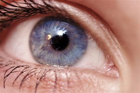 Olhos azuis: conheça a origem, curiosidades e fatos | Lenscope