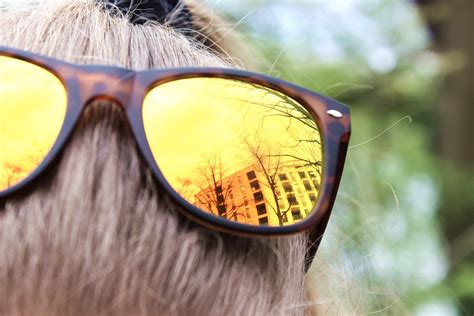 fotos gratis verde color amarillo de cerca gafas de sol gafas
