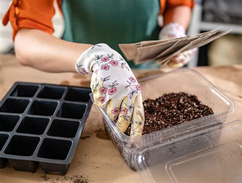 6 Best Vegetables to Grow in Bags