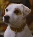 Wishbone Voice - Wishbone (TV Show) - Behind The Voice Actors