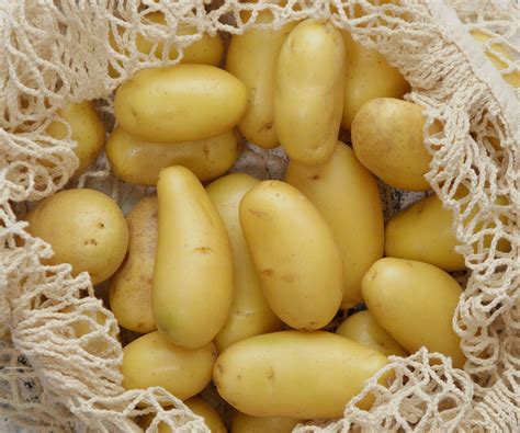 potatoes in sacks how to grow 3