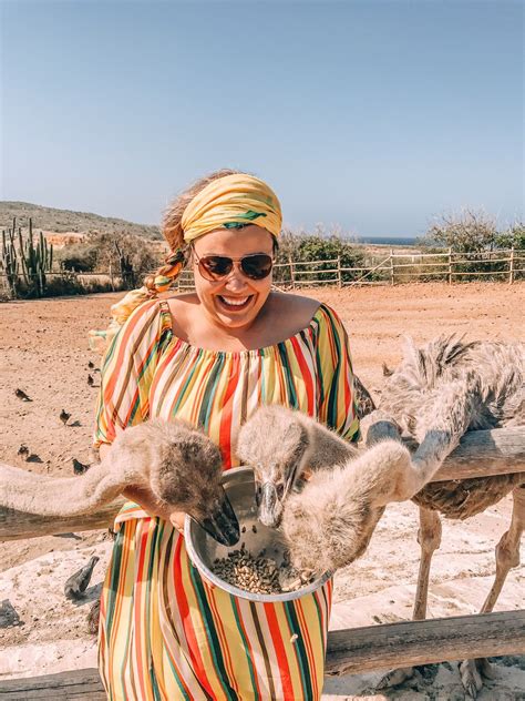 12 best unique things to do in aruba vacation aruba travel guide blog