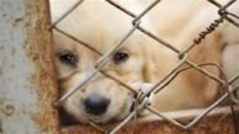 petition   zoos united states changeorg