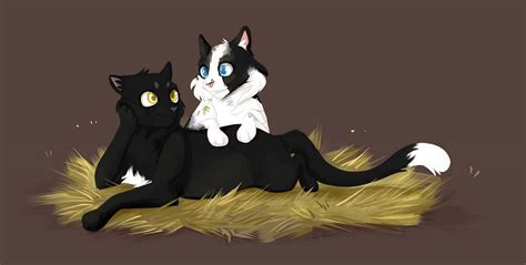 Ravenpaw x Barley by IceChupps on DeviantArt