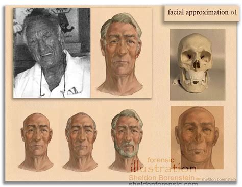 Case 01 - Forensic Illustration Sheldon Borenstein inc.