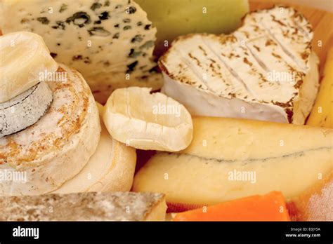 types  cheese composition macro close  stock photo alamy