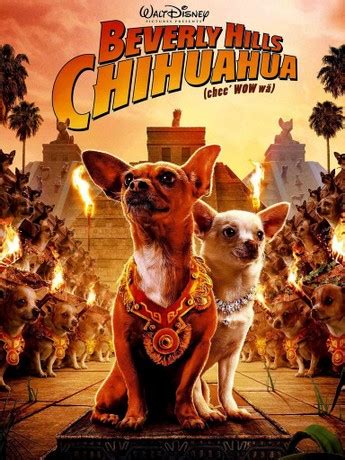 Casting De Beverly Hills Chihuahua 2 Beverly Hills Chihuahua