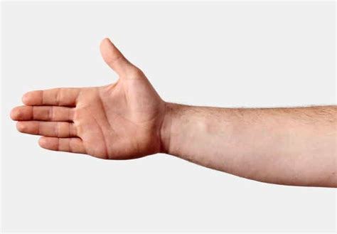 average wrist size  circumference  males  females fitness volt