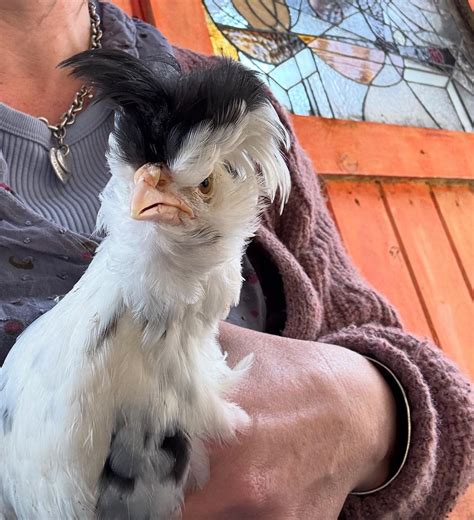 Recent youngstown obituaries show the deep roots of the community 33