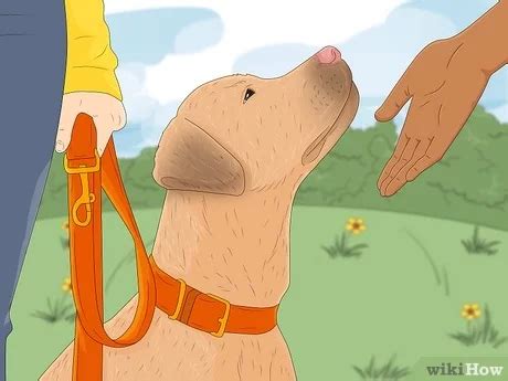how much to pay a friend to dog sit