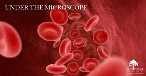 microscope  blood assessment renaissance health centre