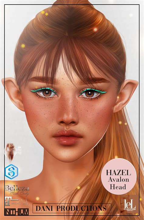 DP - Dani Productions