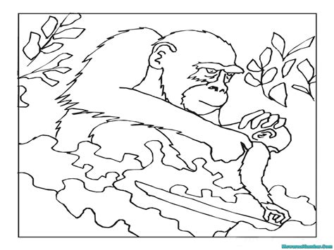 Mewarnai Gambar Gorila | Mewarnai Gambar