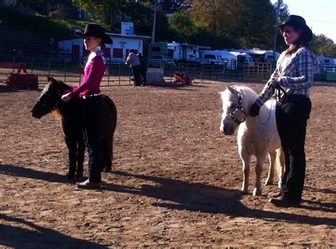 Miniature horse showmanship | Horses, Mini horse, Miniature horse