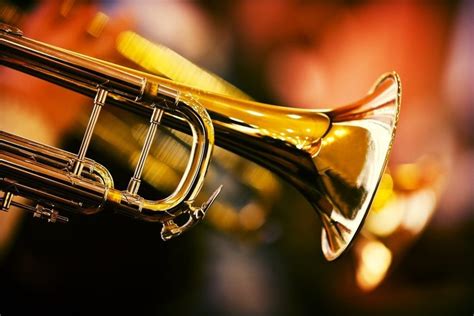 5 Best Beginner Trumpets Reviewed in Detail [Jun. 2025]
