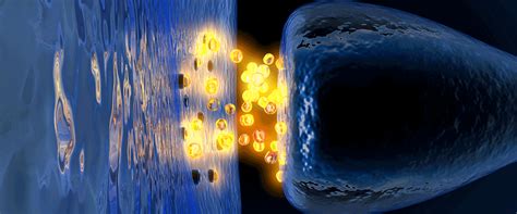 Ionotropic vs Metabotropic Receptors