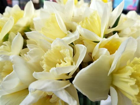 Local Guide to Barton Stacey in Winchester, Hampshire 7