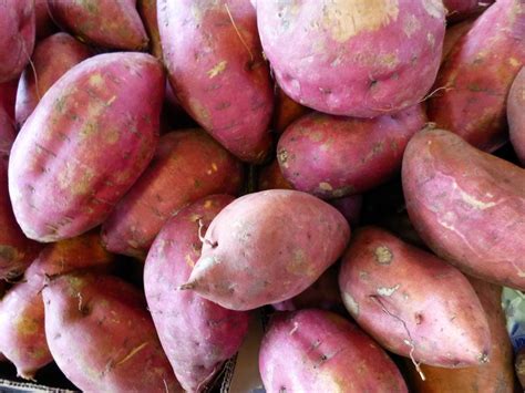 7 Benefits of Sweet Potato That Might Blow Your Mind - LifeHack