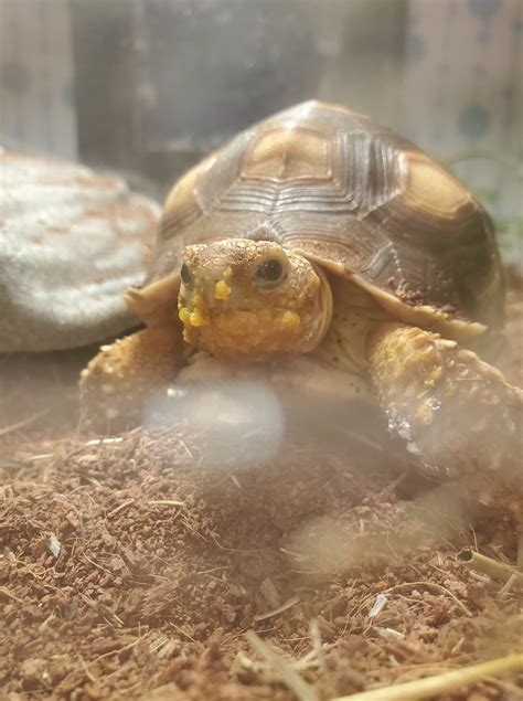 pittsford animal hospital 6